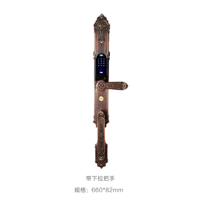 DLS-09